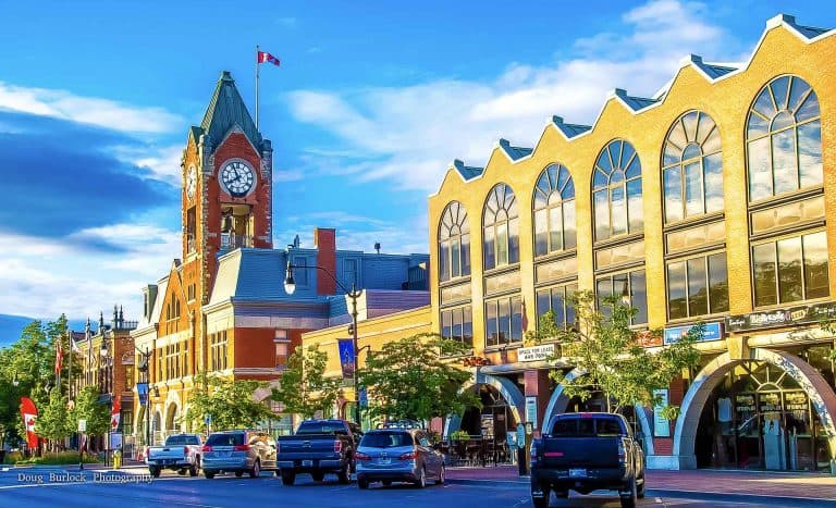 Digital Marketing in Collingwood